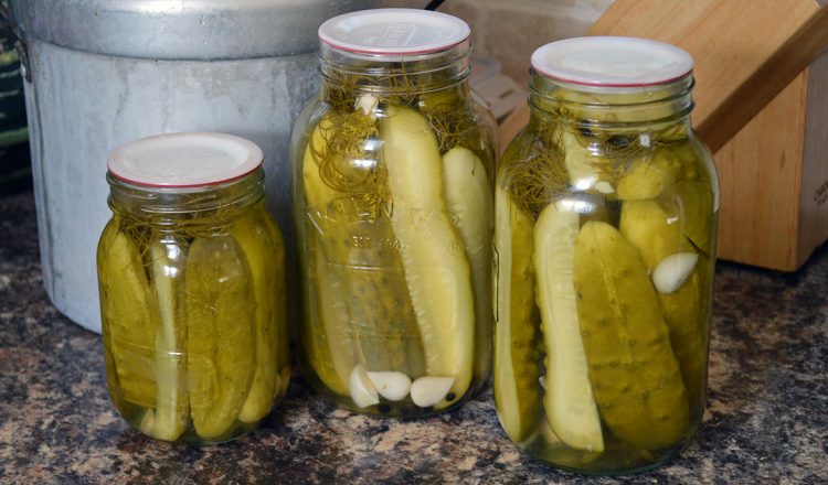 Why Pickles Need to be Loved and Appreciated