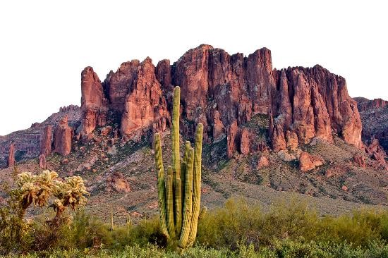 Best Places In Arizona To Travel For Spring Break Ridge Review