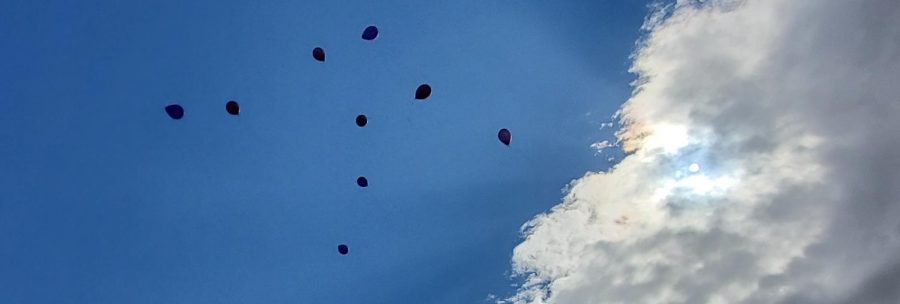 A photo of purple balloons being released in honor of Mr. Sheppard.