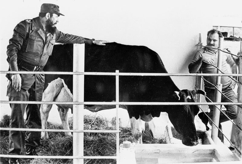 Casto with his cow Ubre Blanca