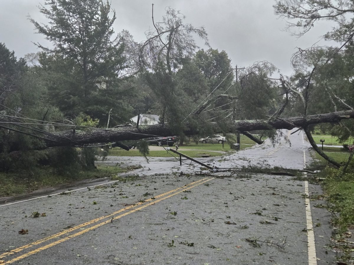 Photo by Emilee Kain.
Fallen tree across a road in Greenville, SC