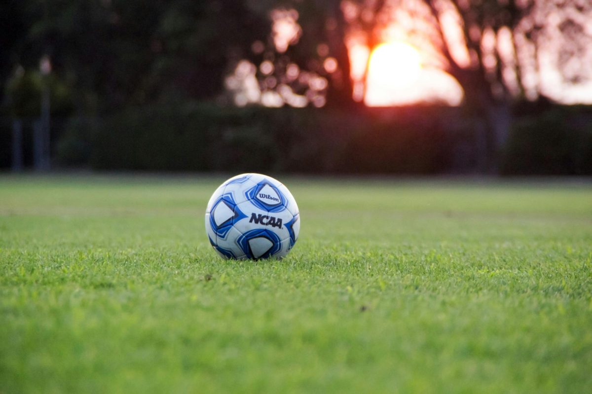 Soccer ball sits on a field