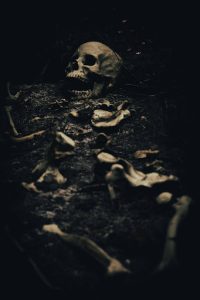 Skeleton ruins in the dirt