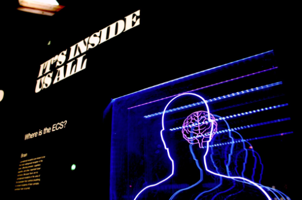 led sign of a brain